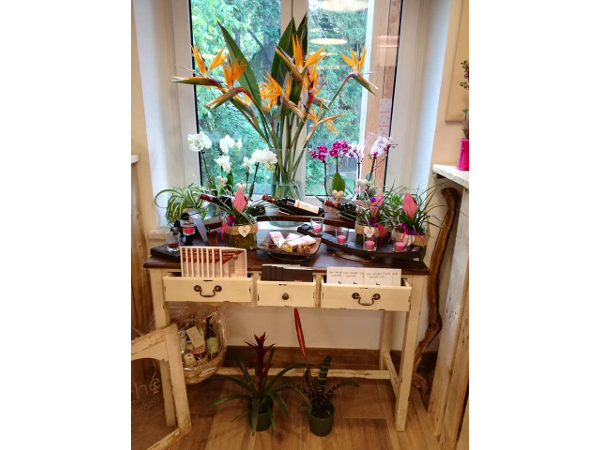 Bild 5 von blumenzeit - Anneliese Mahl