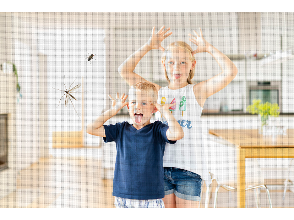 Bild 8 von ISN Insektenschutz Nesensohn GmbH