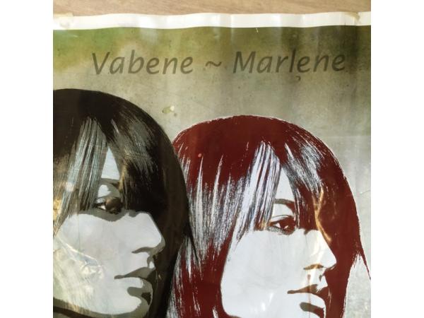 Bild 15 von Marlene Hairfashion