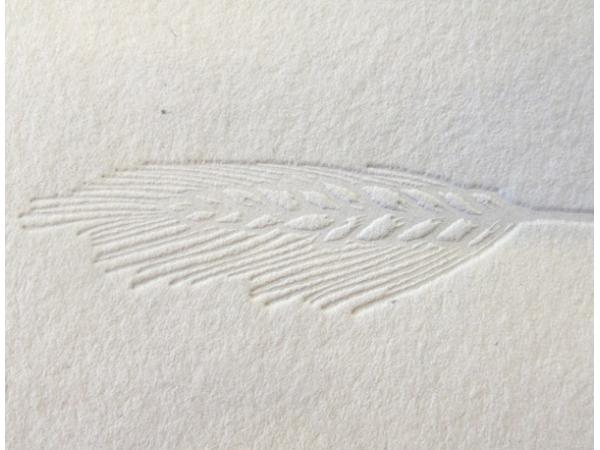Bild 7 von papierTIGER