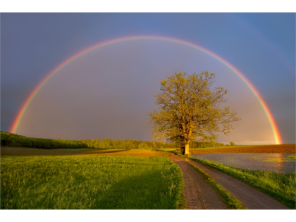Bild 7 von Naturheilpraxis Buder-Roger