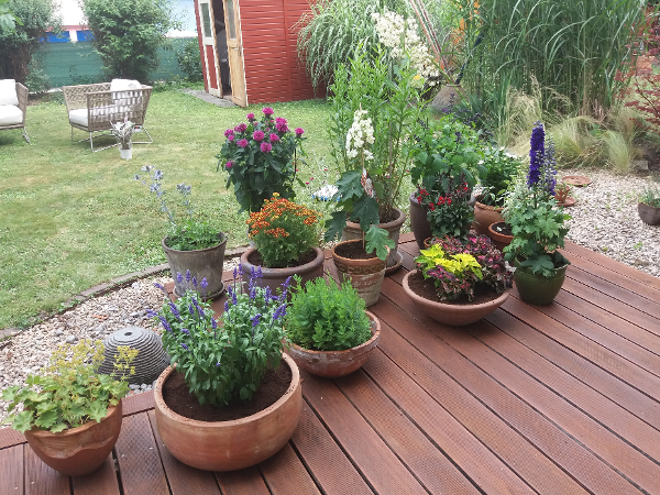 Bild 8 von Gartengestaltung Berl