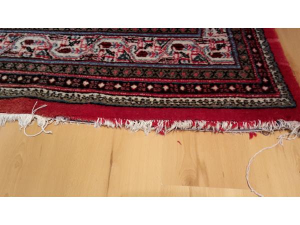Bild 11 von Teppichhaus Karimi
