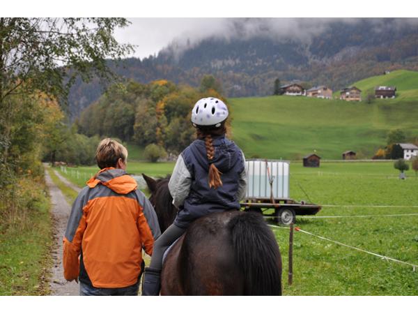 Bild 5 von Kinderbauernhof Felder