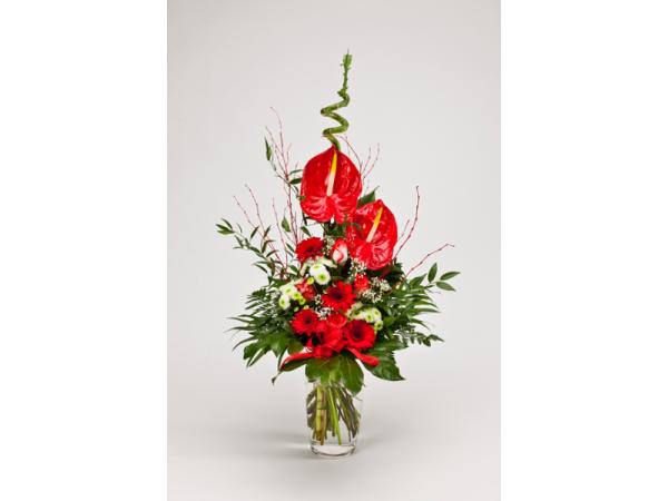 Bild 15 von Blumen Kleissner