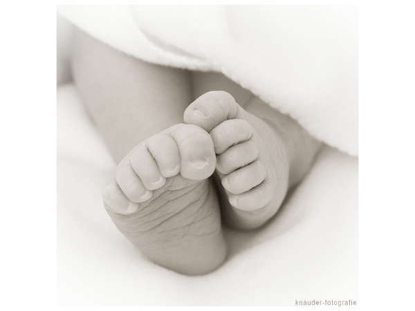 Bild 63 von Fotografie Caroline Knauder