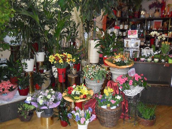 Bild 1 von ARKADENBLUMENHAUS - Kruba Brigitte