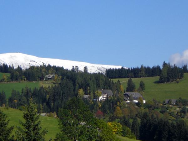 Bild 4 von Grabenhofer Georg Biobauernhof