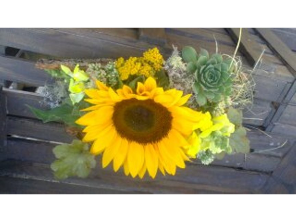 Bild 2 von Gärtnerei & Blumenstube - Maierhofer