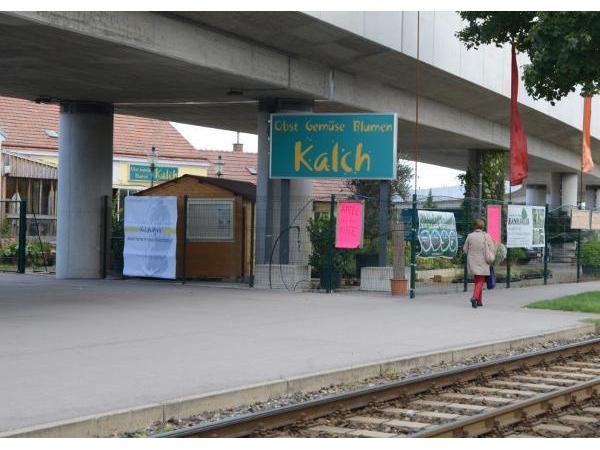 Bild 1 von Franz Kalch Plattensteinergasse E279 GmbH