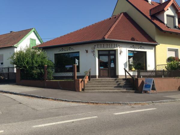 Bild 1 von Adler Markus
