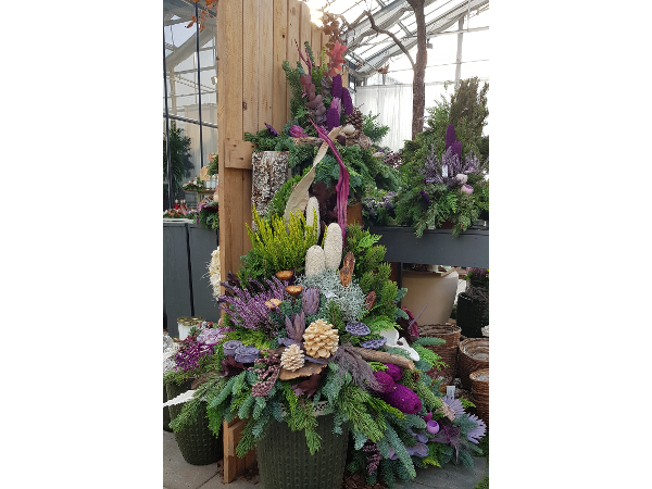 Bild 77 von Gartenbau-Blumen Helmut Friedl