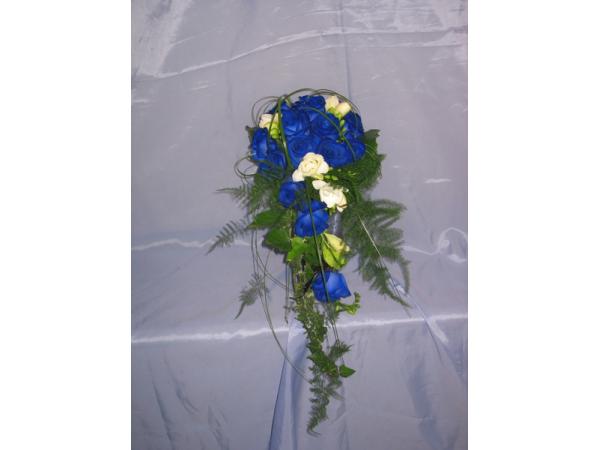 Bild 15 von Blumen Weiss