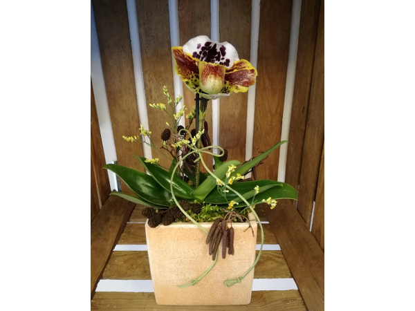 Bild 27 von blumenzeit - Anneliese Mahl