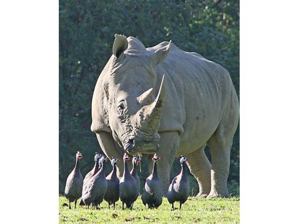Bild 1 von Zoo Salzburg Gemeinnützige GmbH - Tier-, Natur- u Artenschutzzentrum Salzburg