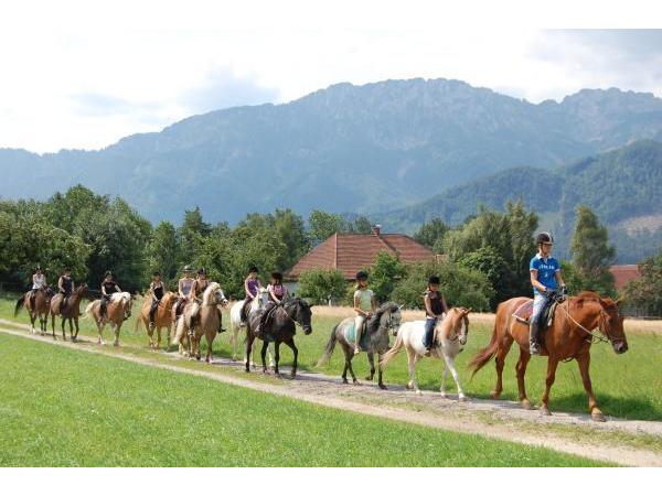 Bild 9 von Reitergut Weissenhof - Fam Veits