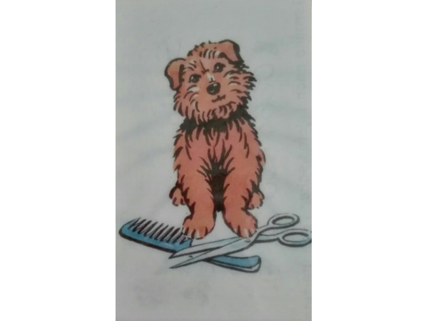 Bild 1 von Mobile Hundefriseurin Sonja