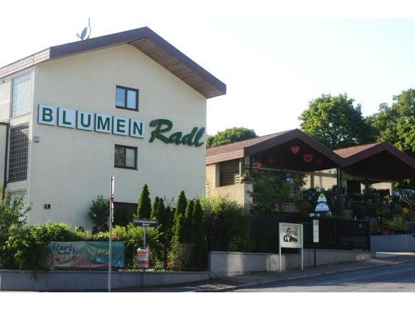 Bild 1 von Blumen Radl