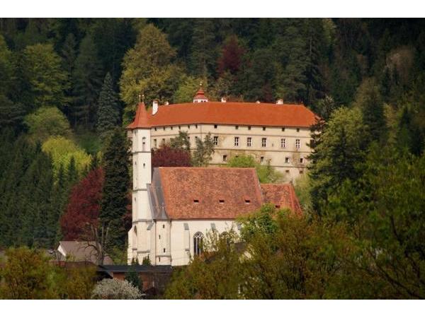 Bild 2 von Gutsbetrieb Schloss Pernegg Mag. Maximilan Pongratz-Lippitt
