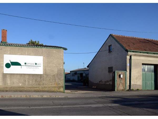 Bild 1 von Bach Eveline
