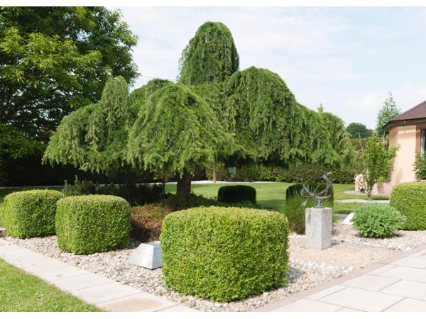 Bild 10 von Gartenglück GartengestaltungsgesmbH