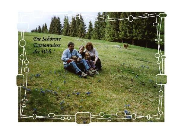 Bild 25 von Reitstall Ponderosa