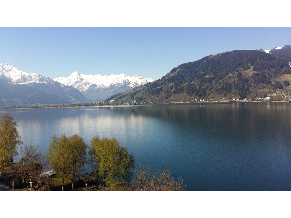 Bild 9 von Seehotel Bellevue