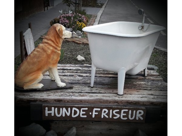 Bild 3 von Hundefriseurin Ellen Fertsch