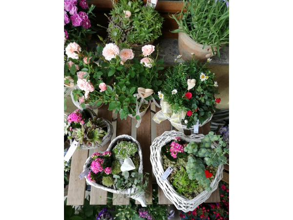 Bild 10 von blumenzeit - Anneliese Mahl