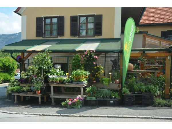 Bild 1 von Blumenstube Gilde