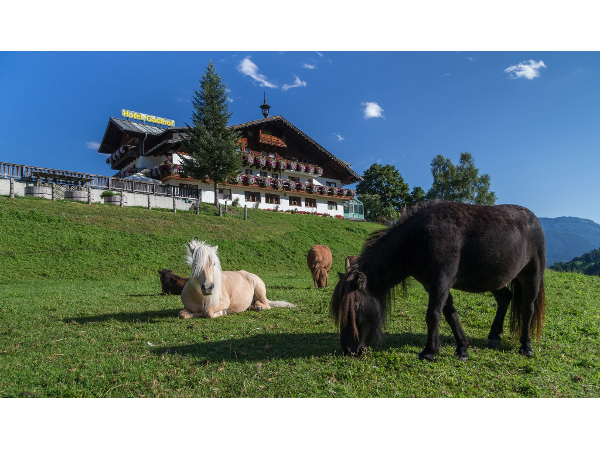 Bild 2 von Seiterhof