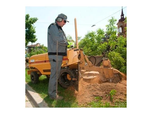 Bild 1 von Powerteam Dienstleistungen eGen