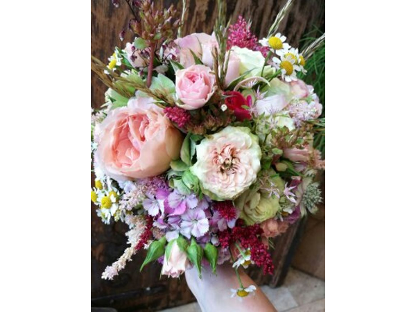 Bild 7 von Gärtnerei & Blumenstube - Maierhofer