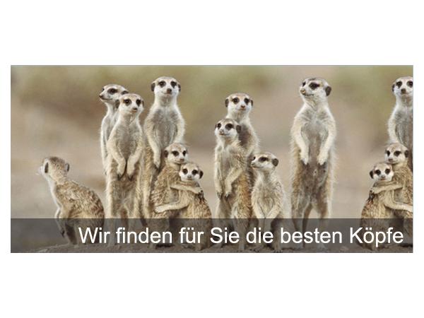 Bild 6 von Personal-Basis Management GmbH