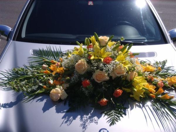 Bild 1 von Blumen Vogler