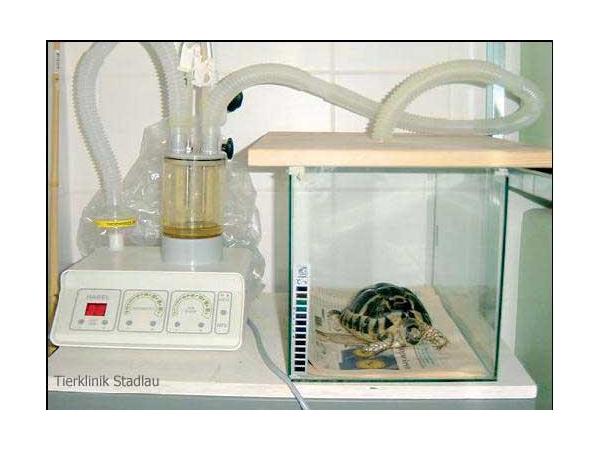 Bild 10 von Tierklinik Stadlau