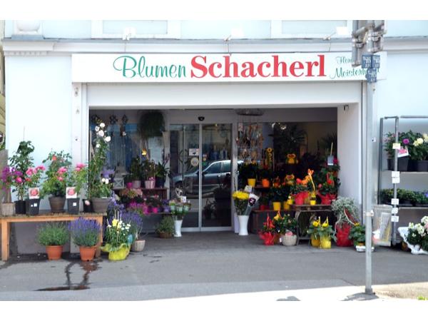Bild 1 von Schacherl's Vitamnin-Paradies