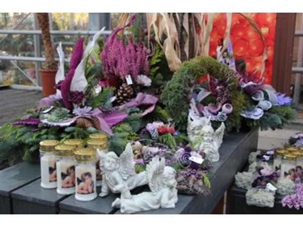 Bild 9 von Gartenbau-Blumen Helmut Friedl