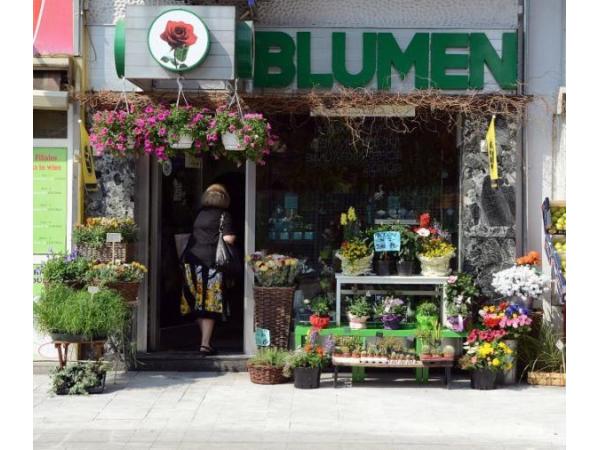 Bild 1 von Blumen Wagner