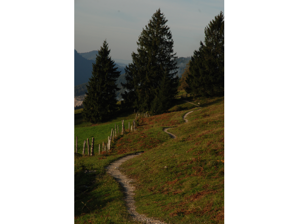 Bild 23 von Reitlhof
