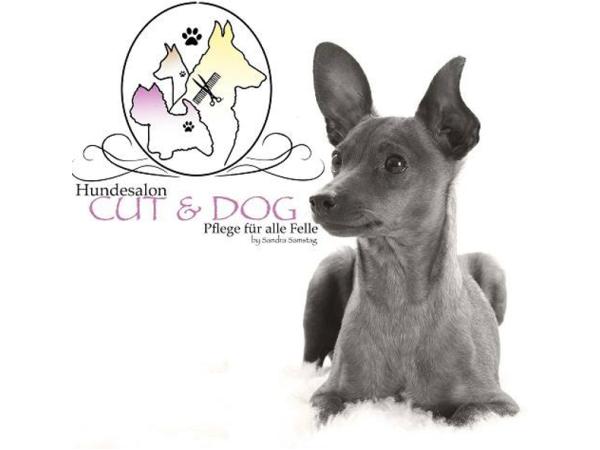 Bild 1 von Hundesalon Cut & Dog