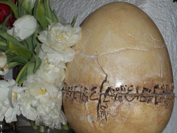 Bild 3 von Blumen Egger - Meisterfloristik