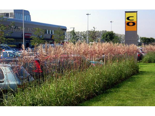 Bild 3 von Agnes Fedl Gartenplanung und Landschaftsplanung GmbH