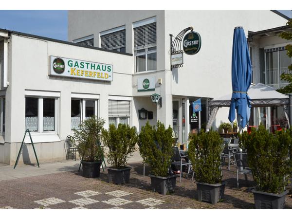 Bild 1 von Keferfeld