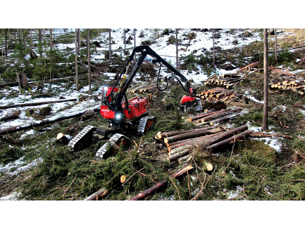 Bild 24 von Holzernte KraWe GmbH & Co KG
