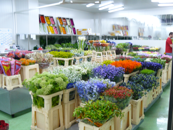 Bild 4 von PENZO Flora Flötzersteig GmbH - Blumenhalle