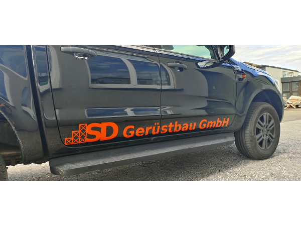Bild 7 von Buntfeder