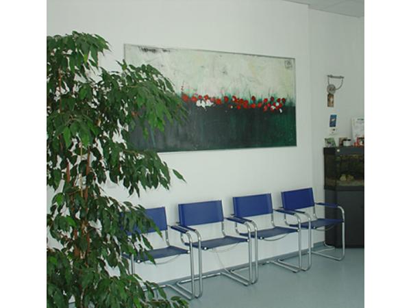 Bild 1 von Tierarztpraxis Dr. Nobert Hetzmannseder