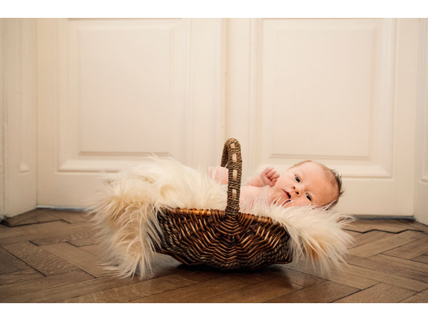 Bild 9 von Mietstudio & Fotograf - Pestuka Productionstudio