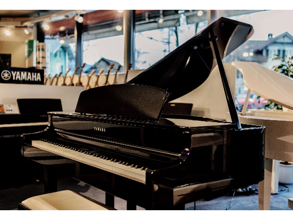 Bild 15 von APM-Music GmbH